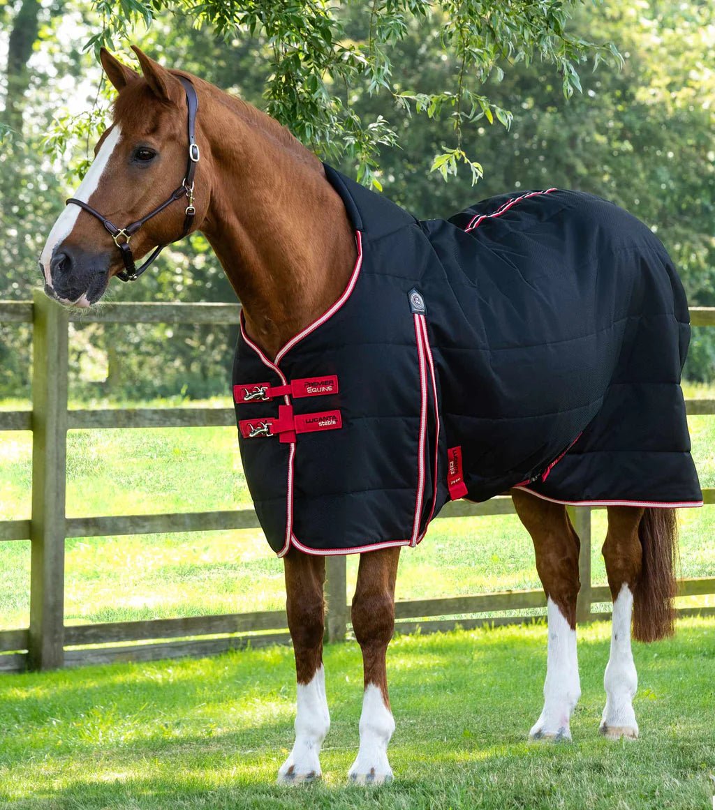 Premier Equine Lucanta Demi 200g Stable Rug - Black - Nags Essentials