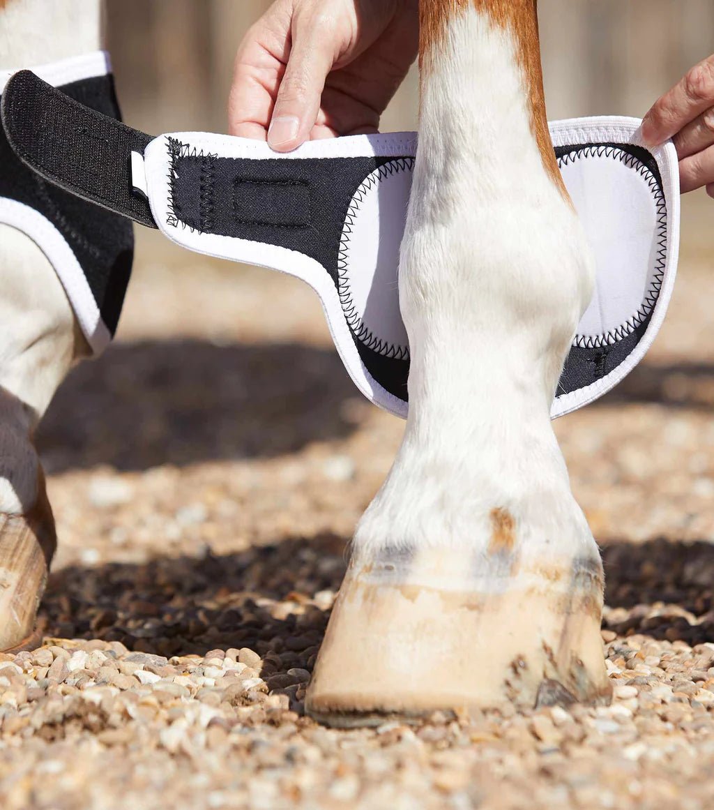Premier Equine Magni-Teque Fetlock Boots - Nags Essentials