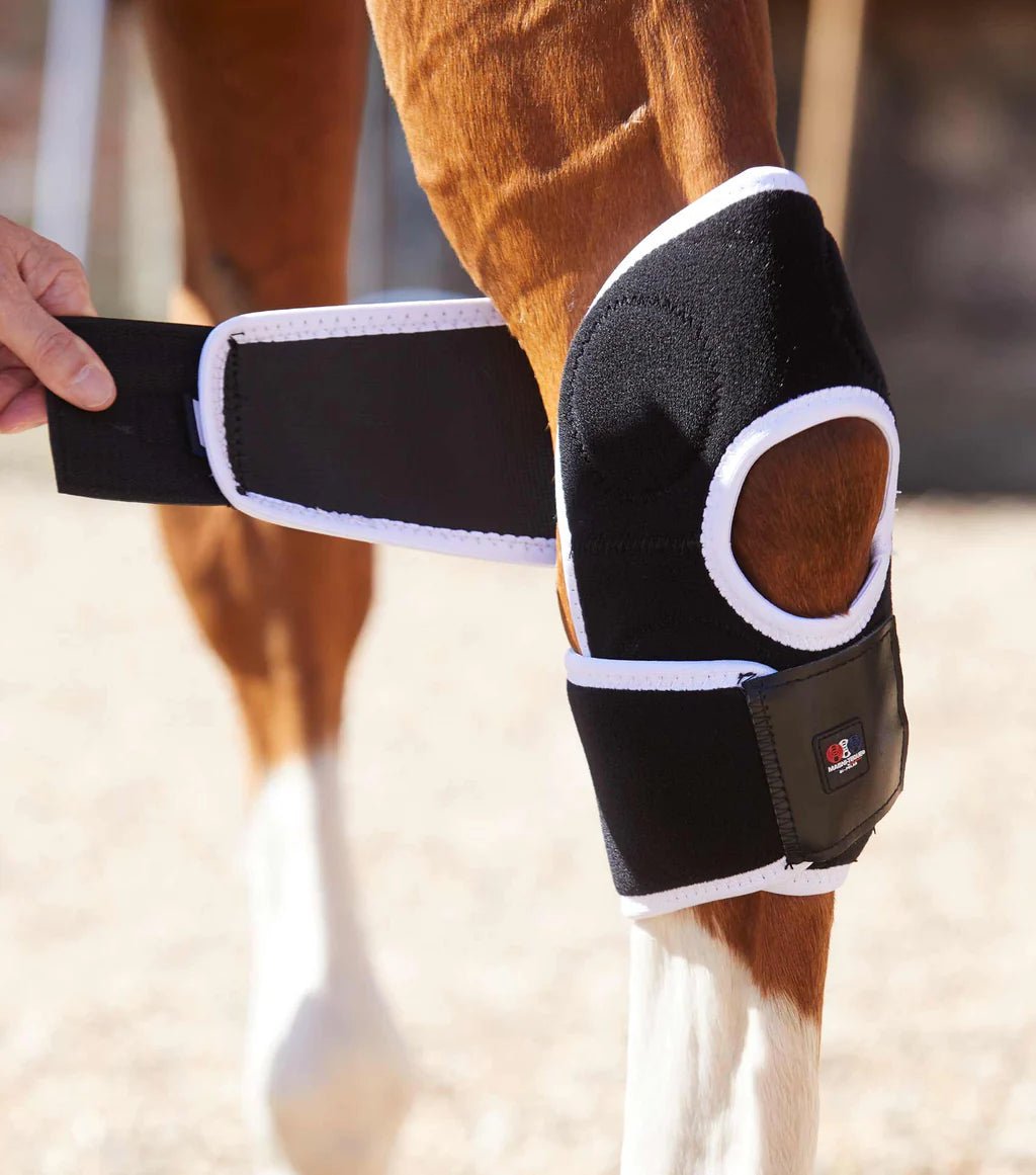 Premier Equine Magni-Teque Hock Boot - Nags Essentials