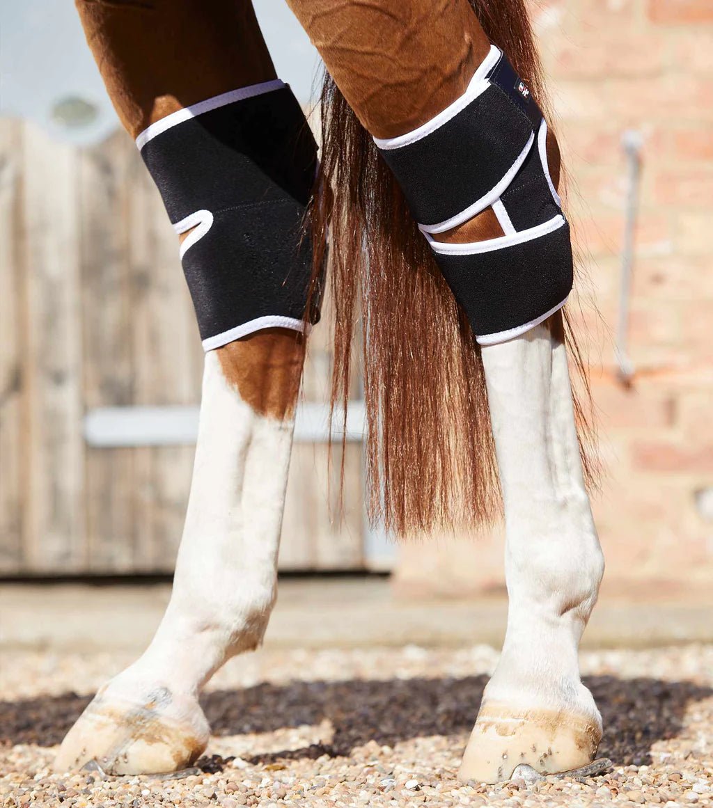 Premier Equine Magni-Teque Hock Boot - Nags Essentials