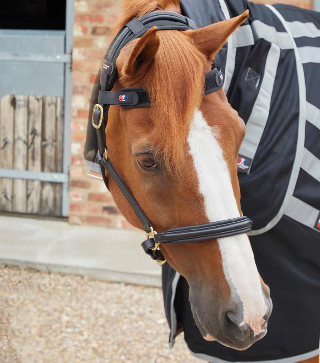 Premier Equine Magni-Teque Magnetic Browband - Nags Essentials