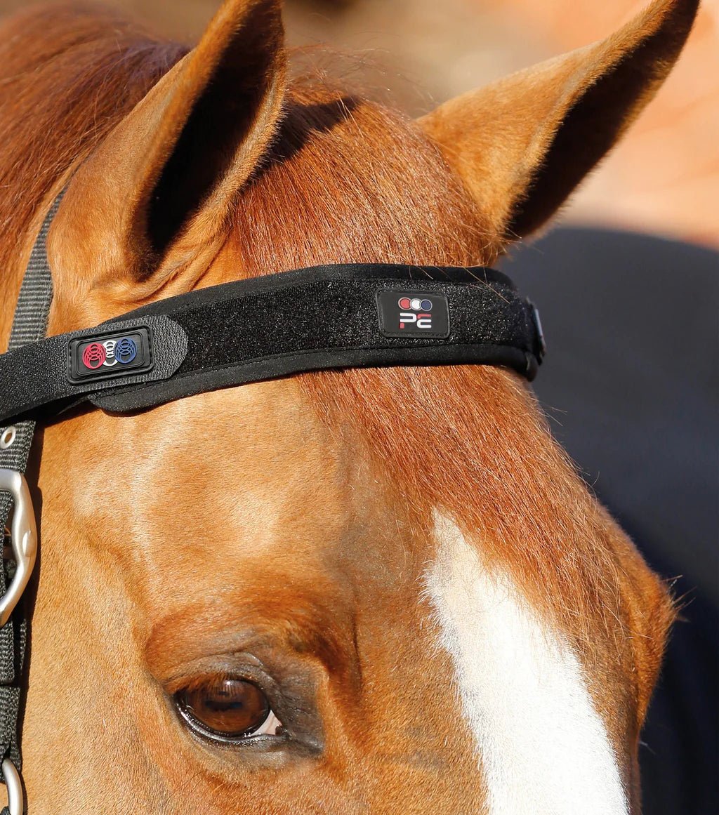 Premier Equine Magni-Teque Magnetic Browband - Nags Essentials