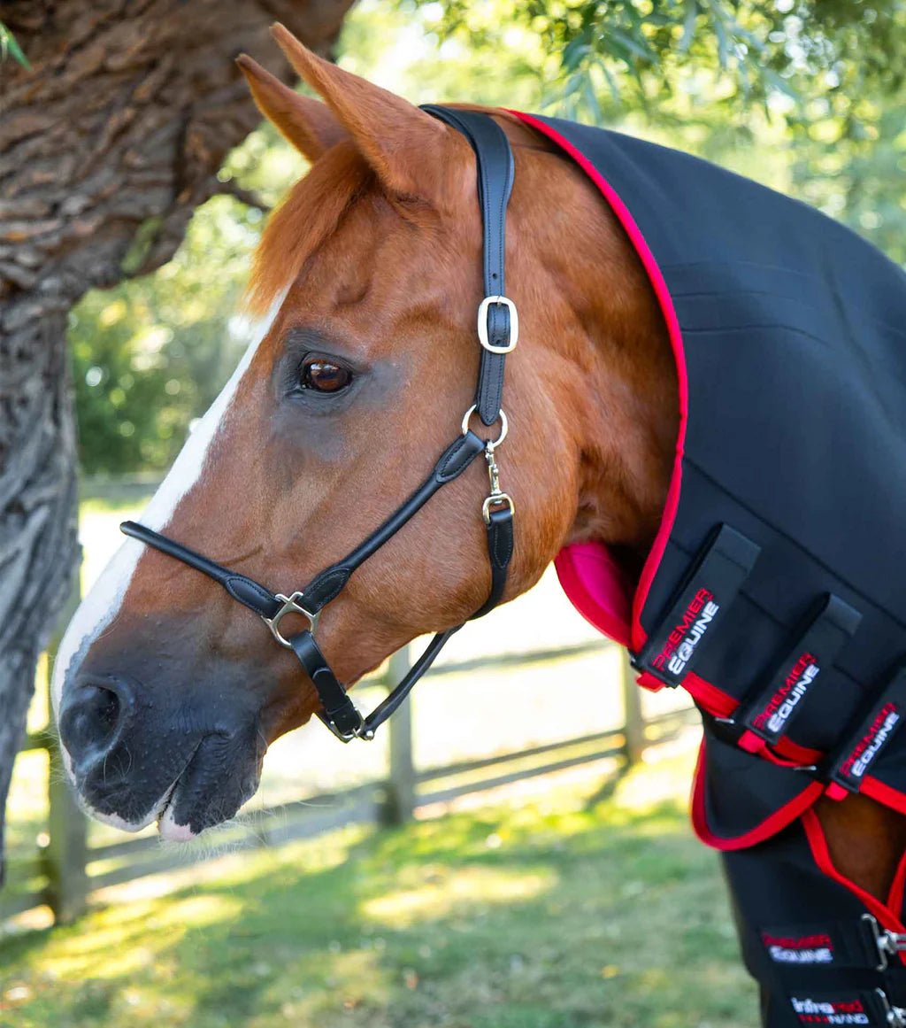 Premier Equine Nano-Tec Infrared Horse Rug - Nags Essentials