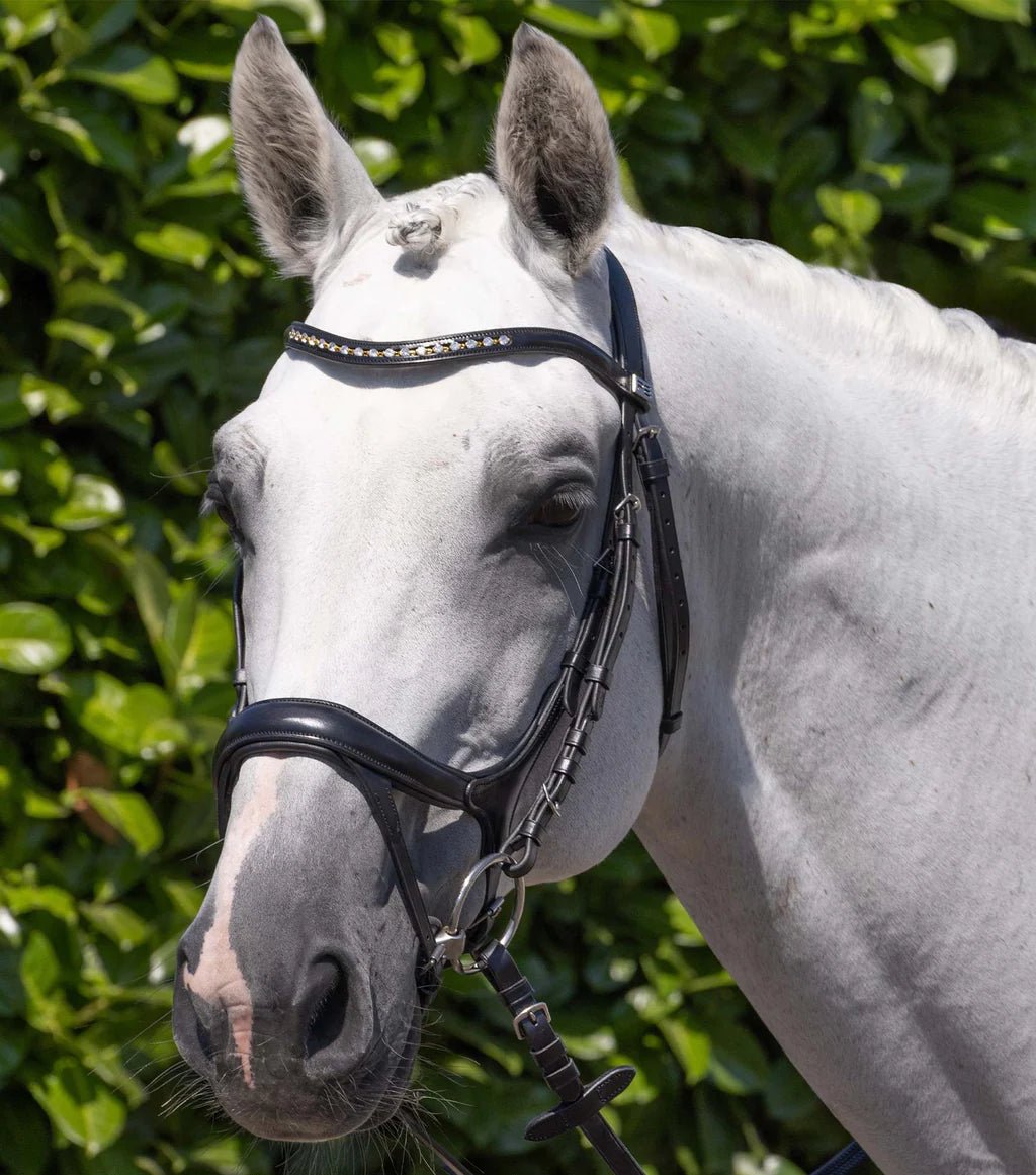 Premier Equine Palazzo Anatomical Bridle - Nags Essentials