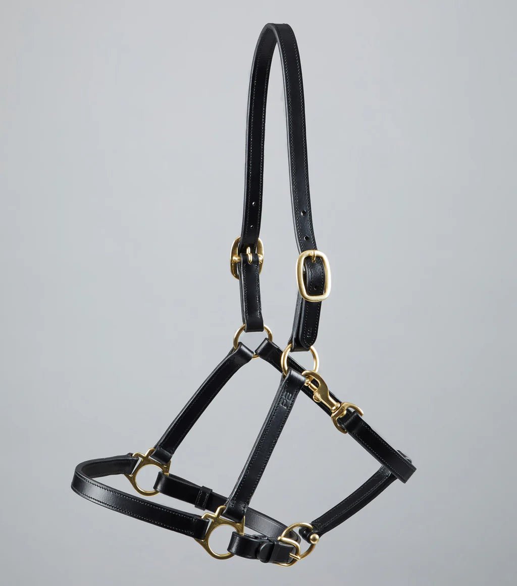 Premier Equine Pasco Plain Leather Head Collar Brown - Nags Essentials
