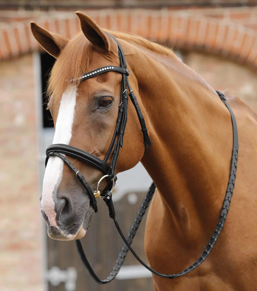 Premier Equine Pietro Laced Reins - Nags Essentials