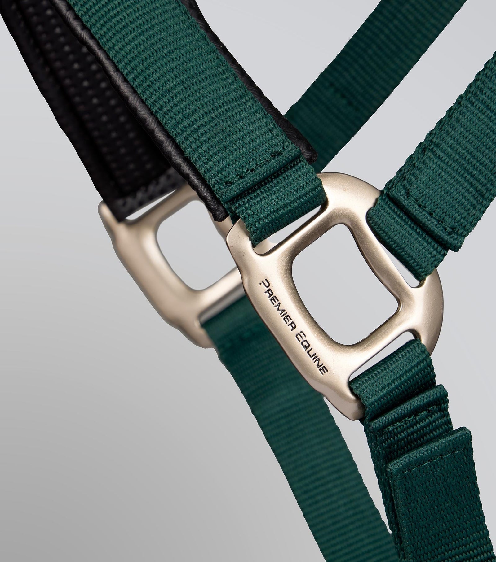 Premier Equine Plain Padded Head Collar with Lead Rope - Nags Essentials