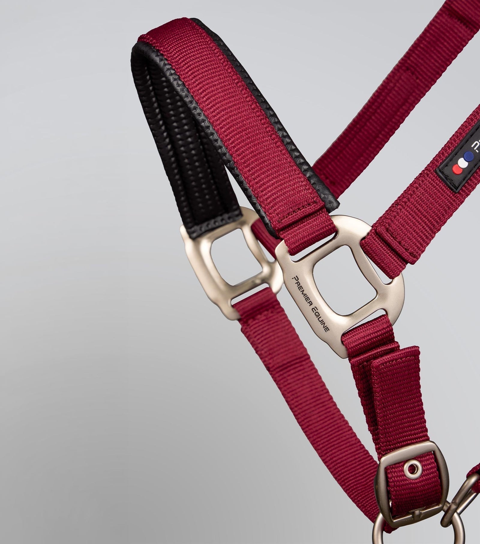 Premier Equine Plain Padded Head Collar with Lead Rope - Nags Essentials