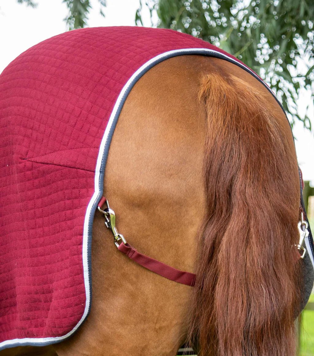 Premier Equine PremTex Horse Cooler Rug - Nags Essentials