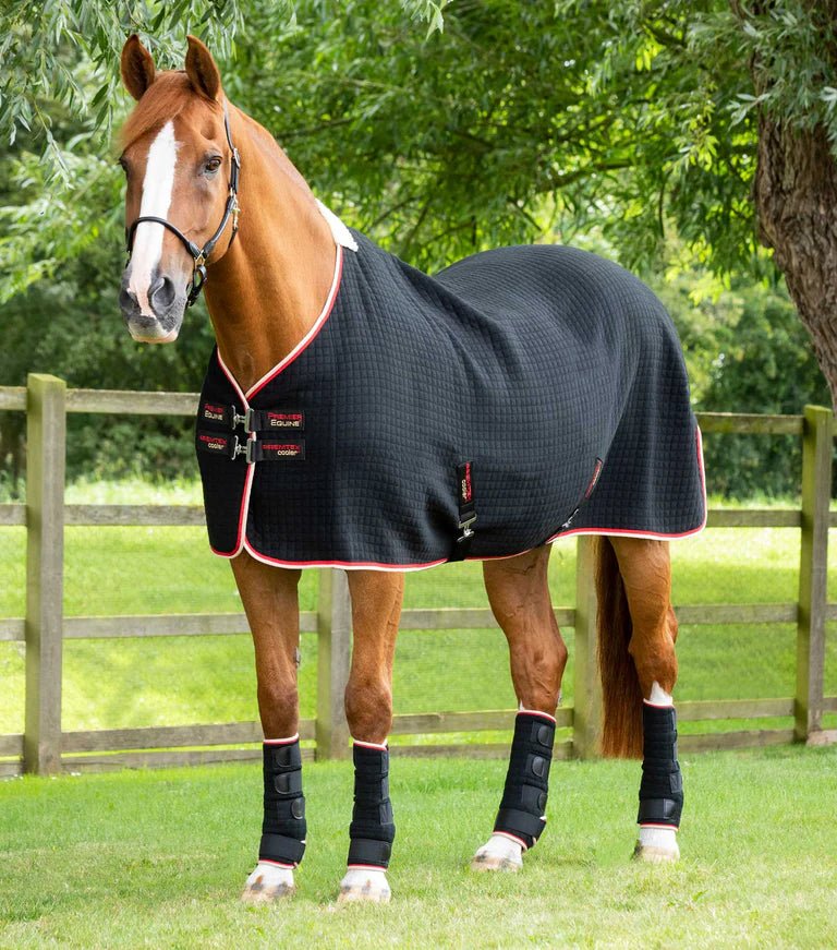 Premier Equine PremTex Horse Cooler Rug - Nags Essentials