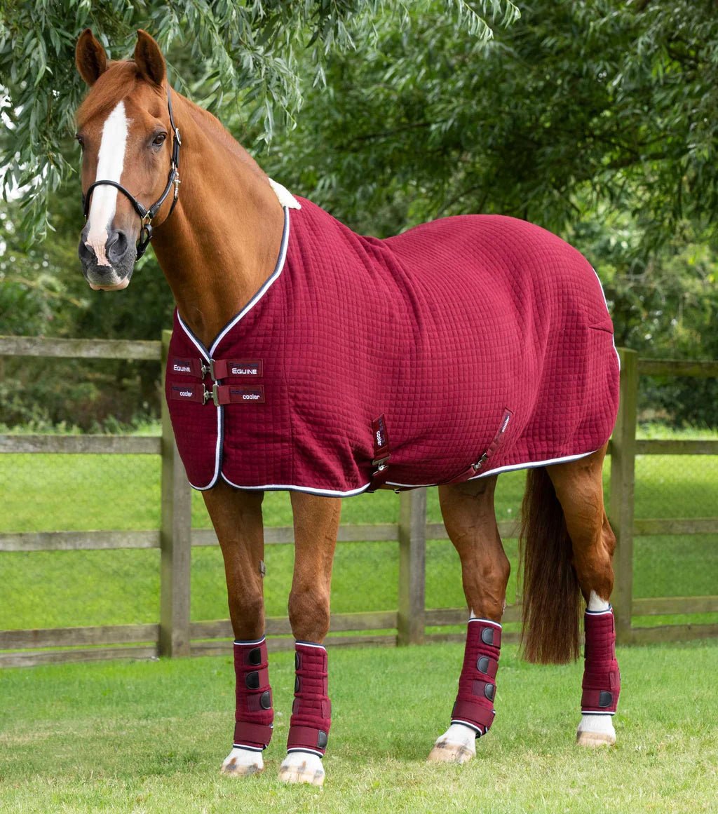 Premier Equine PremTex Horse Cooler Rug - Nags Essentials