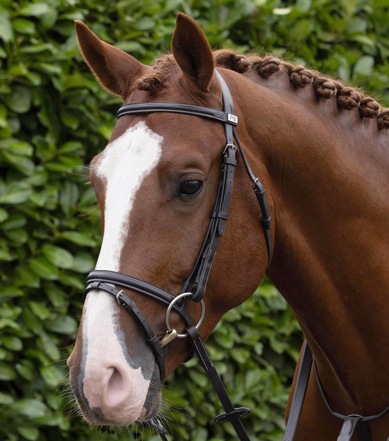 Premier Equine Raised Jumping Bridle with Flash Noseband - Nags Essentials