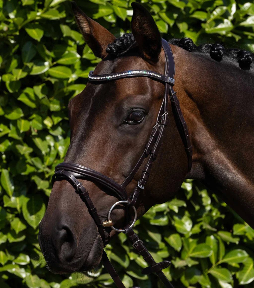 Premier Equine Rivere Snaffle Bridle - Nags Essentials