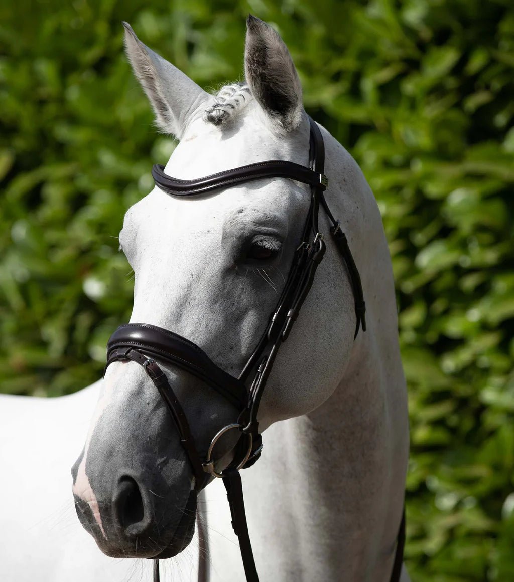 Premier Equine Rizzo Anatomic Snaffle Bridle with Flash - Nags Essentials