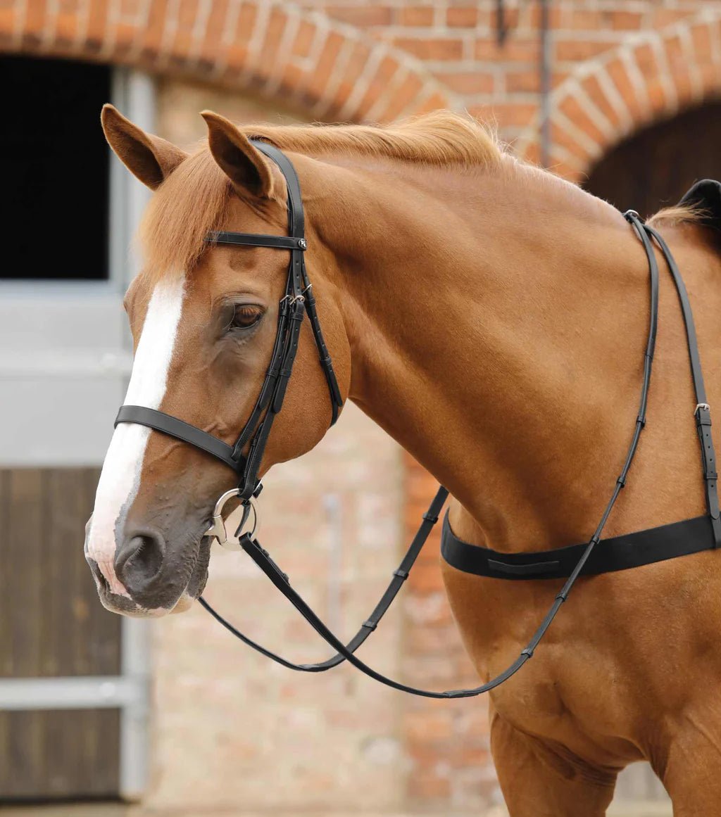Premier Equine Salvatore Rubber & Leather Grip Reins - Nags Essentials