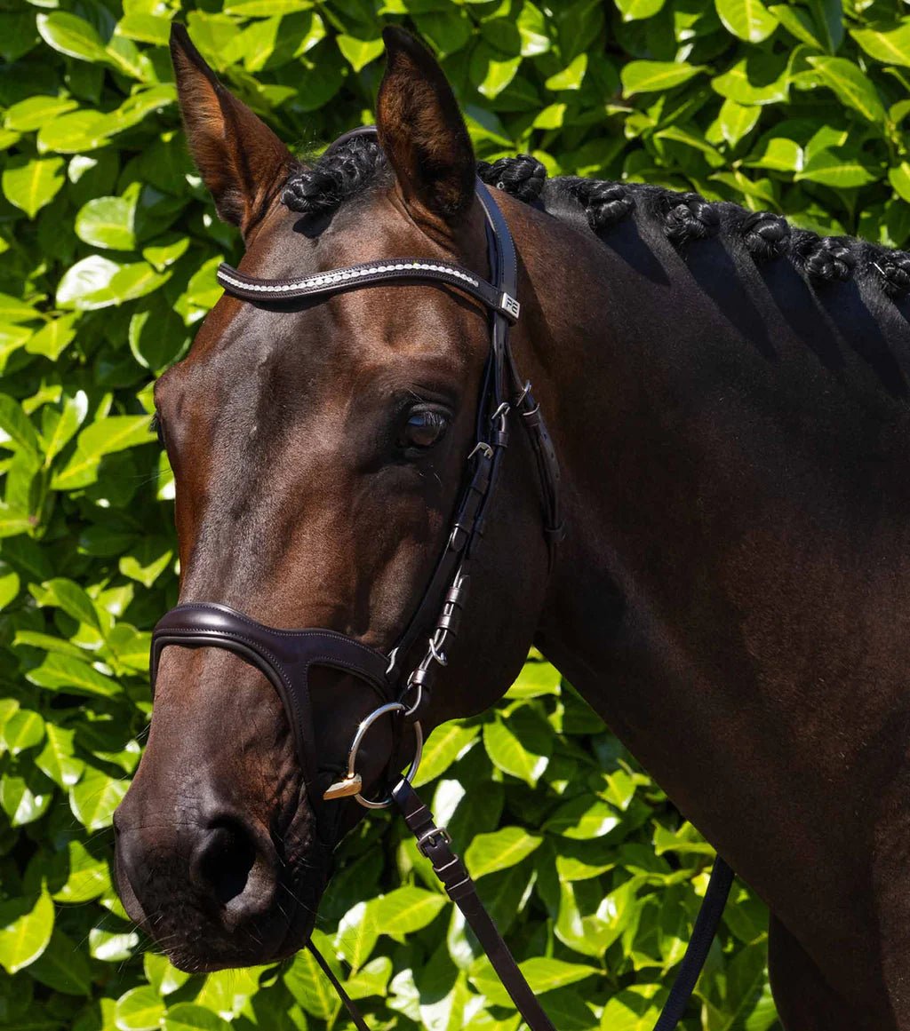 Premier Equine San Paolo Anatomical Bridle - Nags Essentials