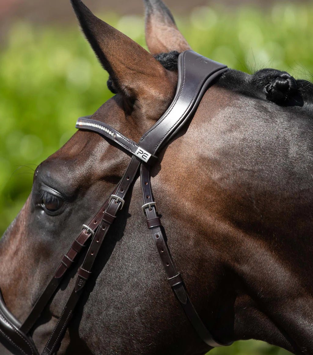 Premier Equine Stellazio Anatomic Snaffle Bridle with Flash - Nags Essentials