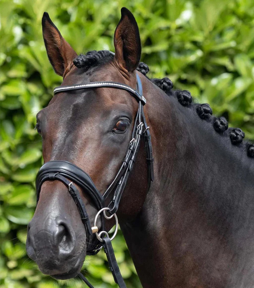 Premier Equine Stellazio Anatomic Snaffle Bridle with Flash - Nags Essentials