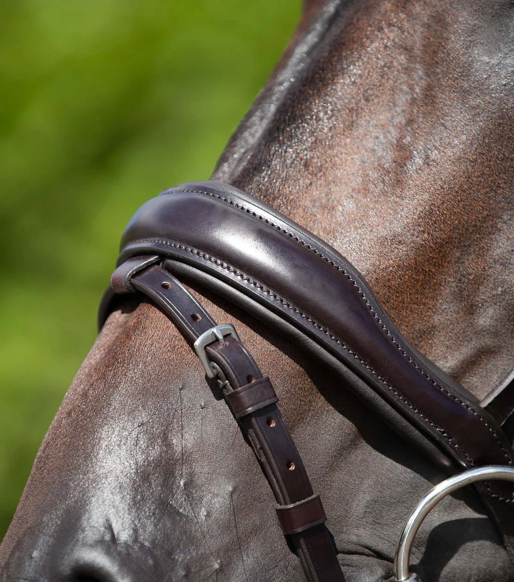 Premier Equine Stellazio Anatomic Snaffle Bridle with Flash - Nags Essentials