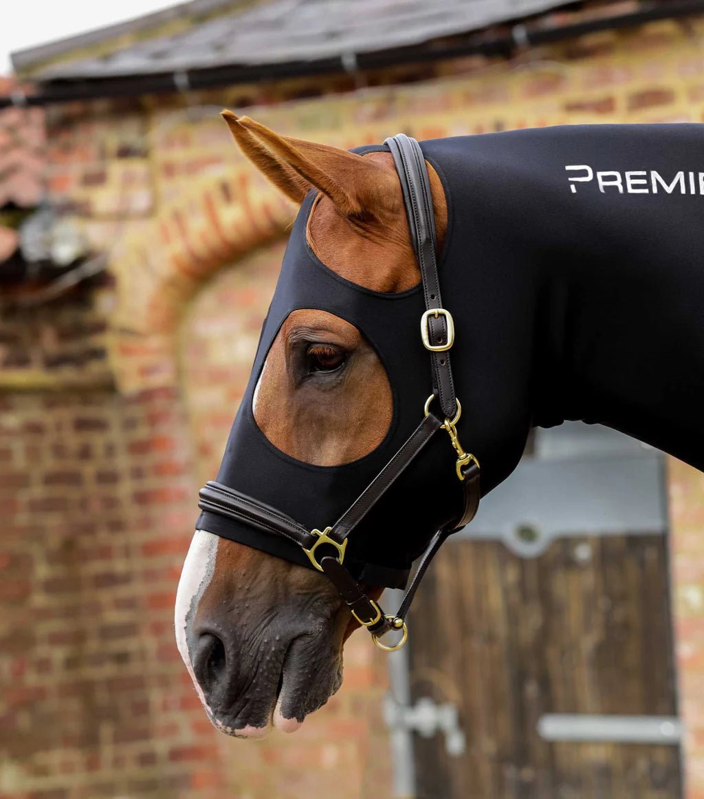 Premier Equine Stretch Lycra Hood - Black - Nags Essentials