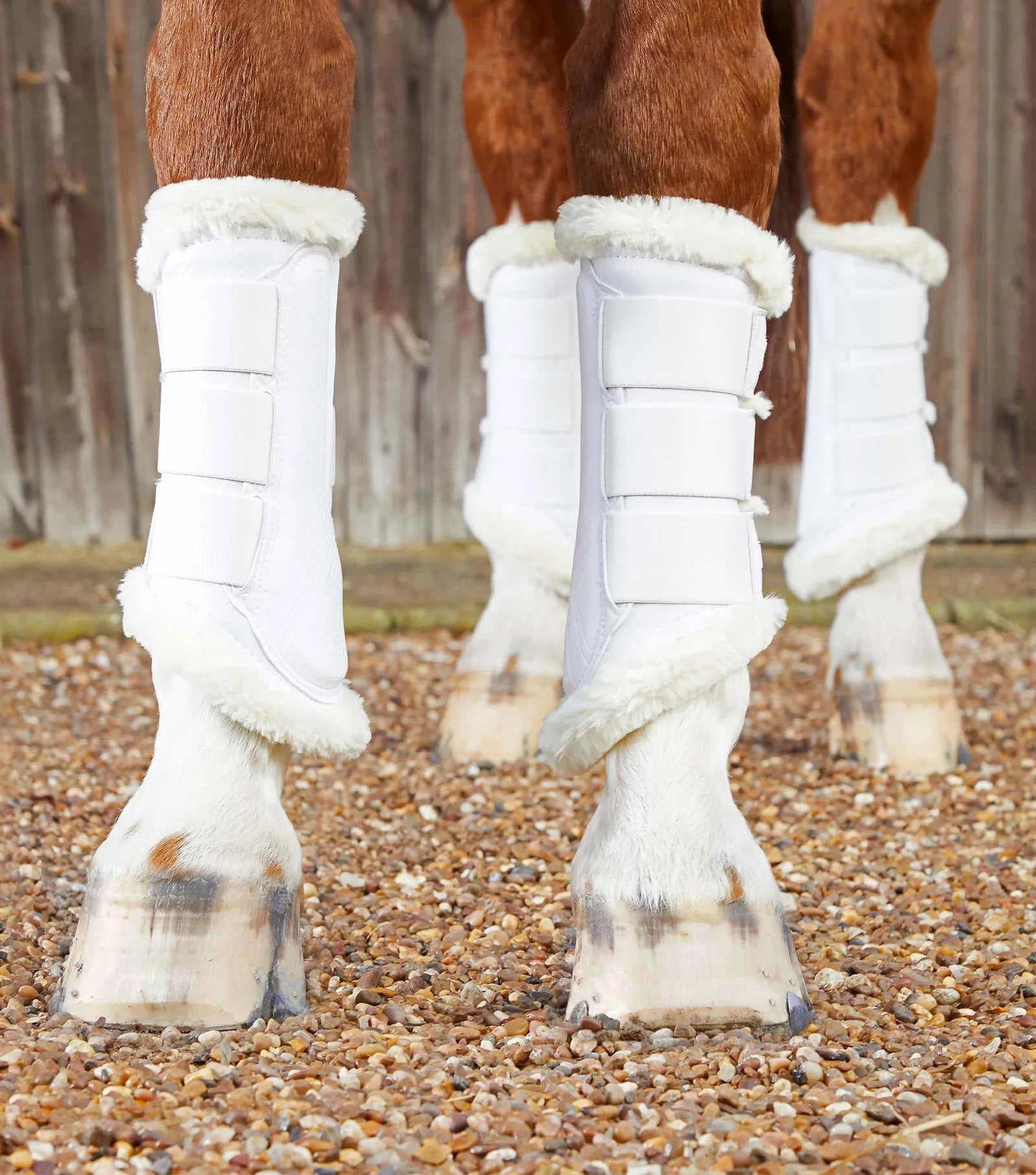 Premier Equine Techno Wool Brushing Boots - Nags Essentials