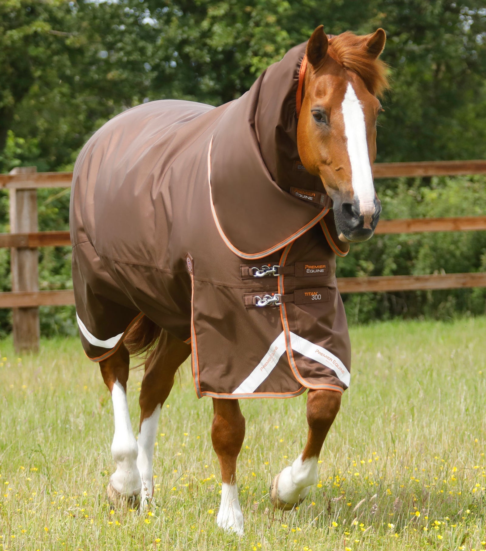 Premier Equine Titan 300g Turnout Rug with Snug-Fit Neck Cover - Nags Essentials