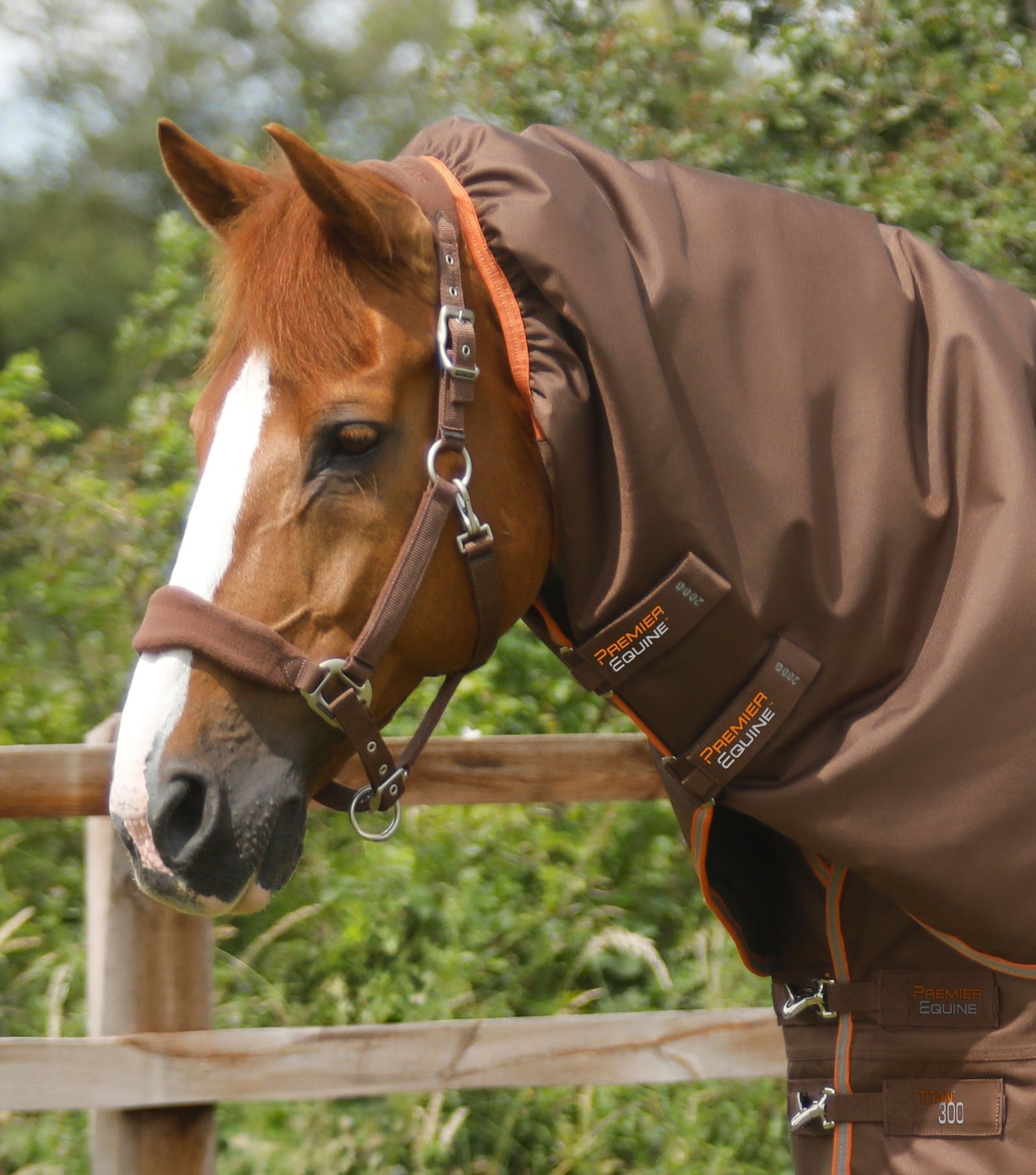 Premier Equine Titan 300g Turnout Rug with Snug-Fit Neck Cover - Nags Essentials