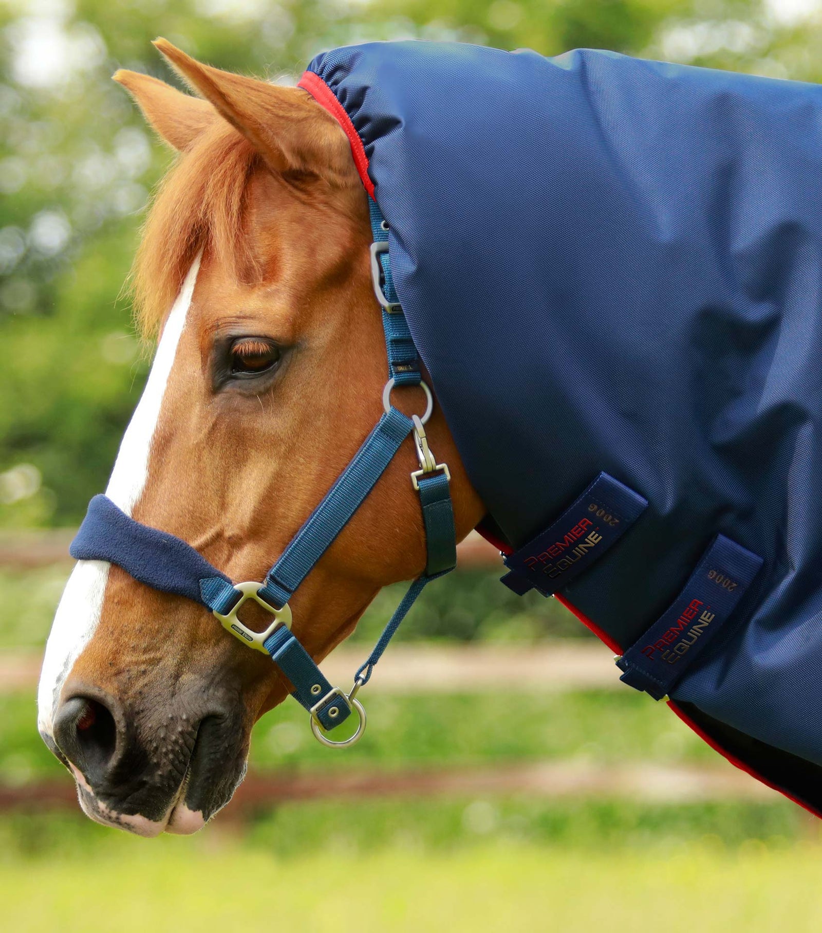 Premier Equine Titan 450g Turnout Rug with Snug-Fit Neck Cover - Nags Essentials