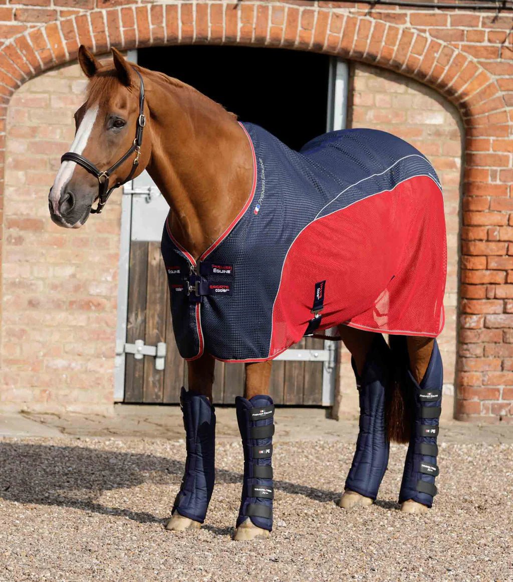 Premier Equine Travel-Tech Xtra Travel Boots - Nags Essentials