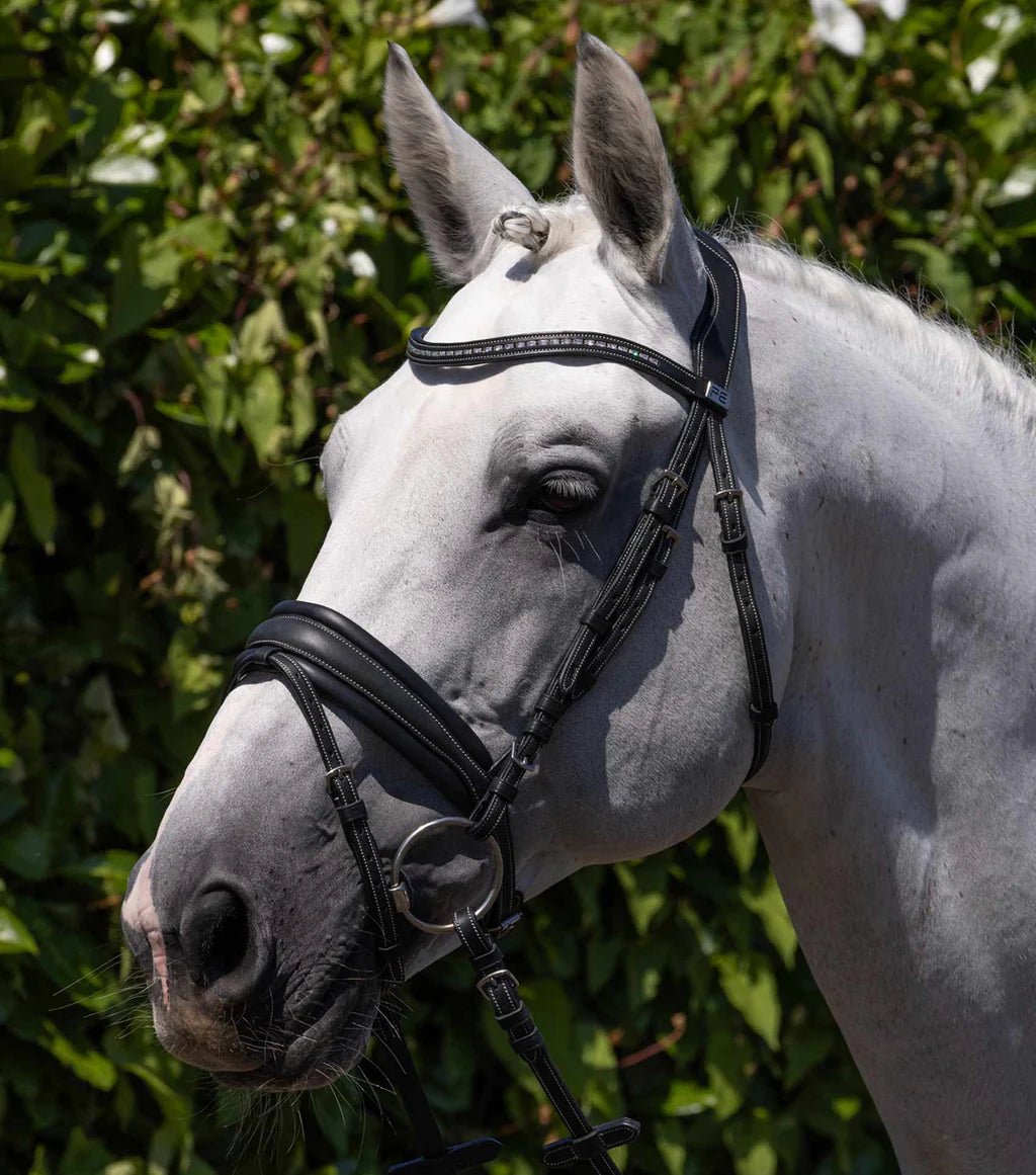 Premier Equine Veneto Anatomical Snaffle Bridle - Nags Essentials