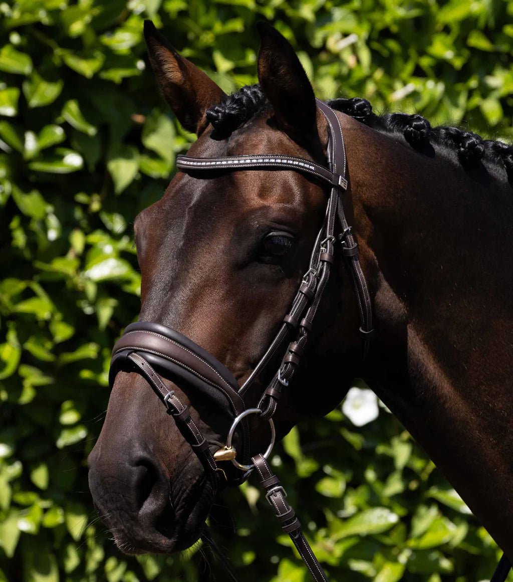 Premier Equine Veneto Anatomical Snaffle Bridle - Nags Essentials