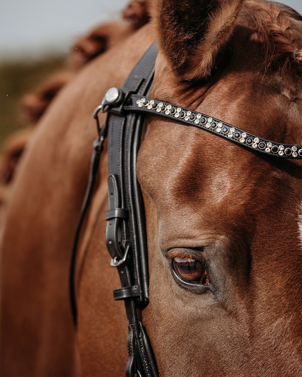PresTeq FaySport Glitter Bridle - Nags Essentials
