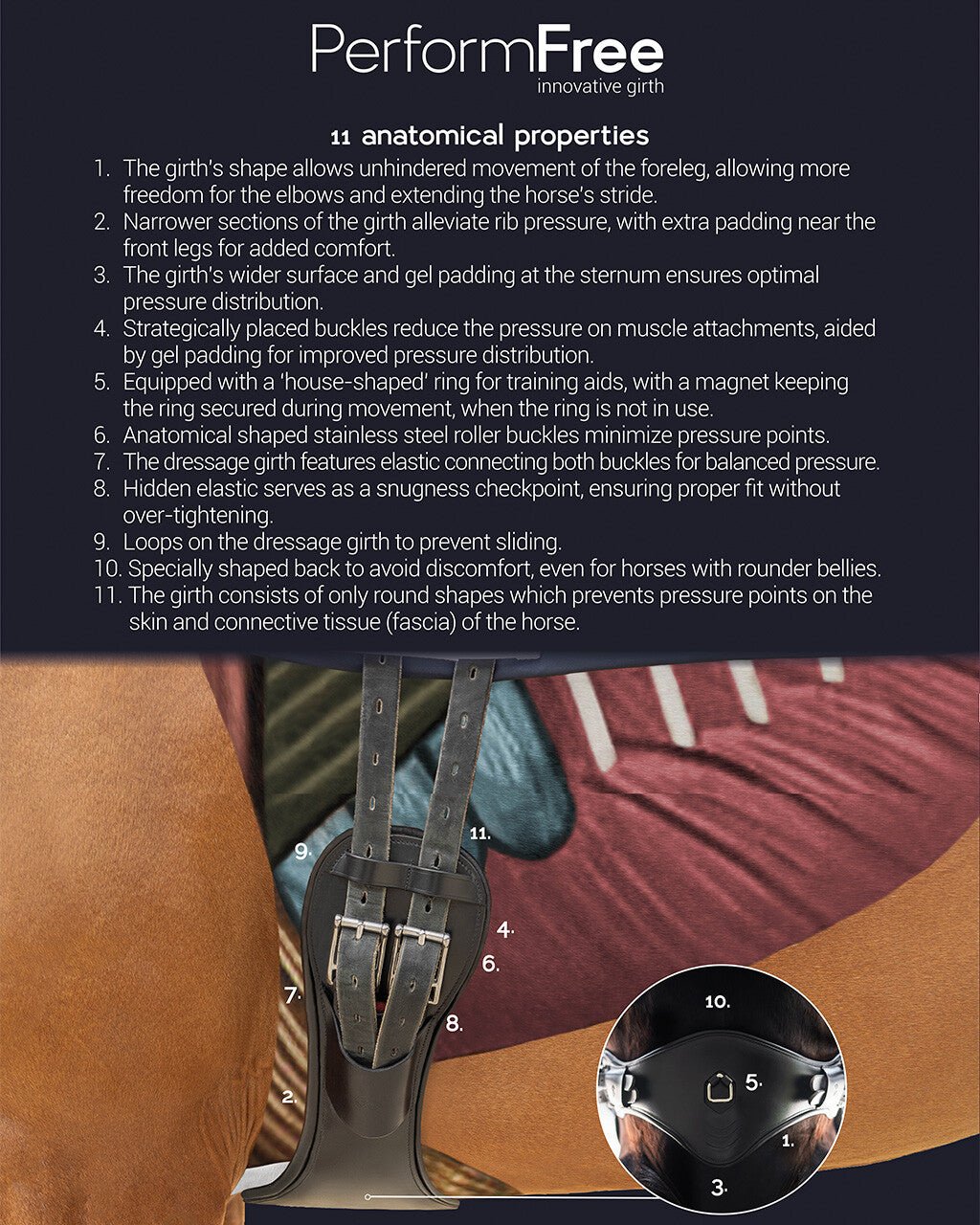 PresTeq PerformFree Dressage Girth - Nags Essentials