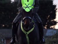 Hi-Vis Vision Acoustic Soundless Horse Ear Bonnet