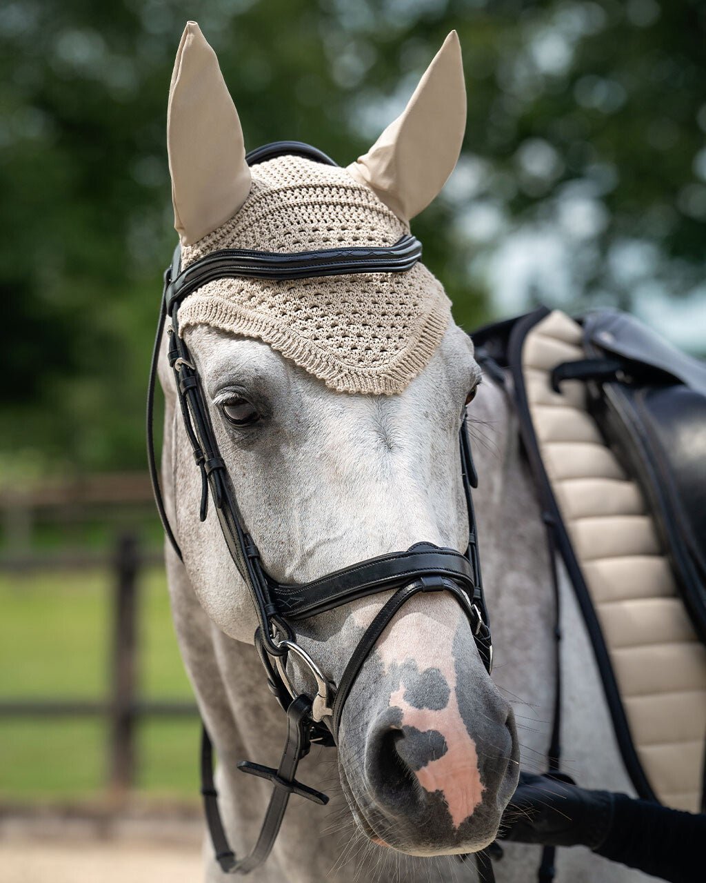 Salerno Anatomic Bridle - Nags Essentials