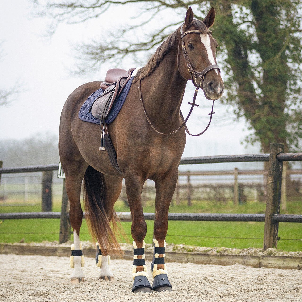 SensiSoft Saddlepad - Nags Essentials