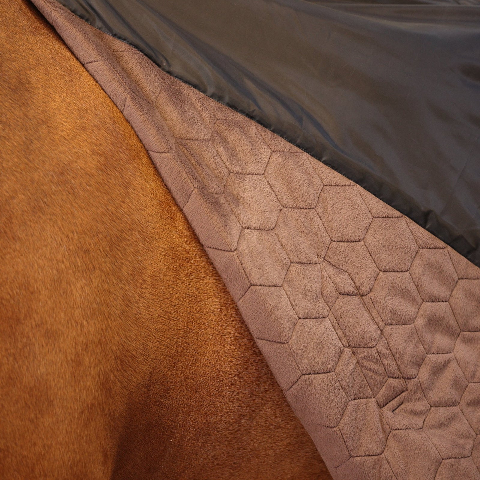 Shires Deluxe Quilted Rug - Navy - Nags Essentials