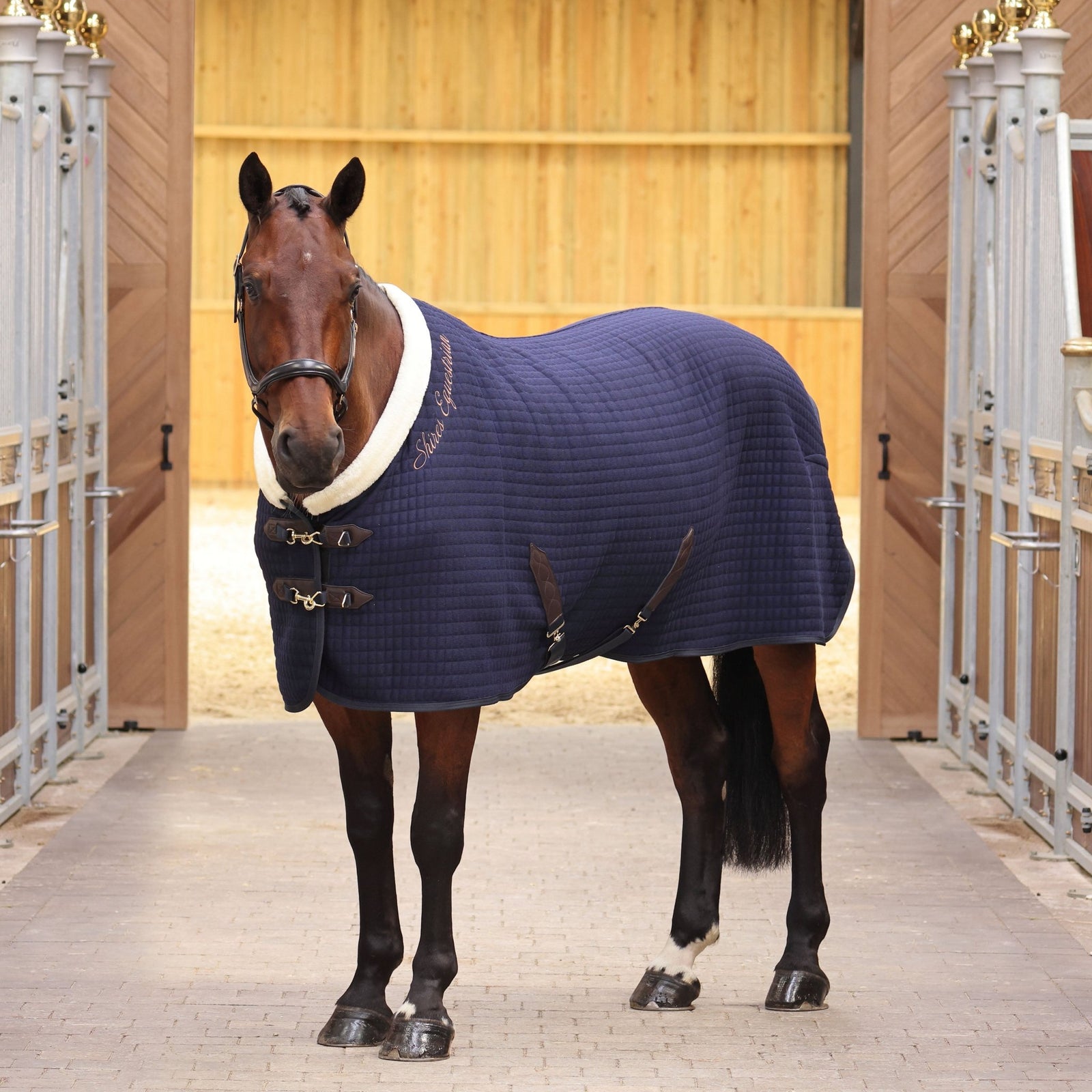 Shires Deluxe Tech Cooler - Navy - Nags Essentials