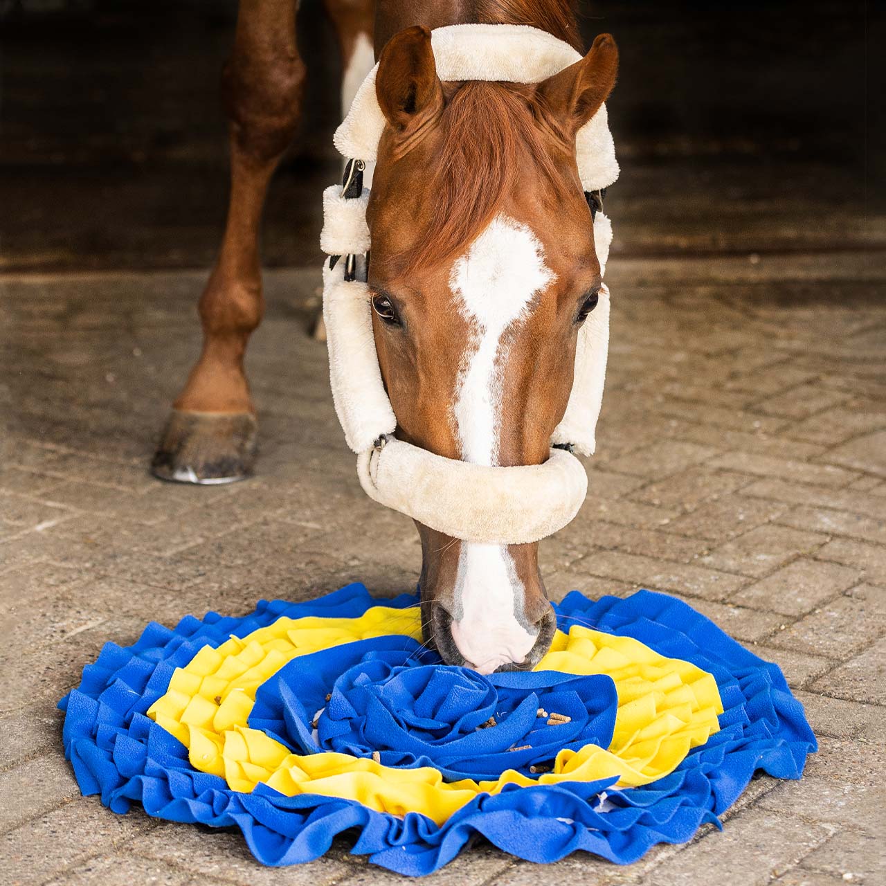 Snuffle mat for horses - Nags Essentials