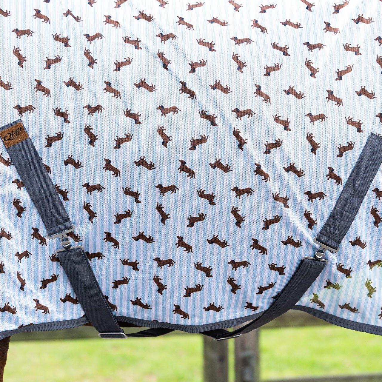 Stable Buddy Dachshund Print Fly Rug - Nags Essentials