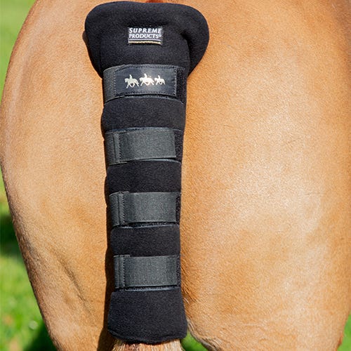 Supreme Products Royal Occasion Tail Guard - Nags Essentials