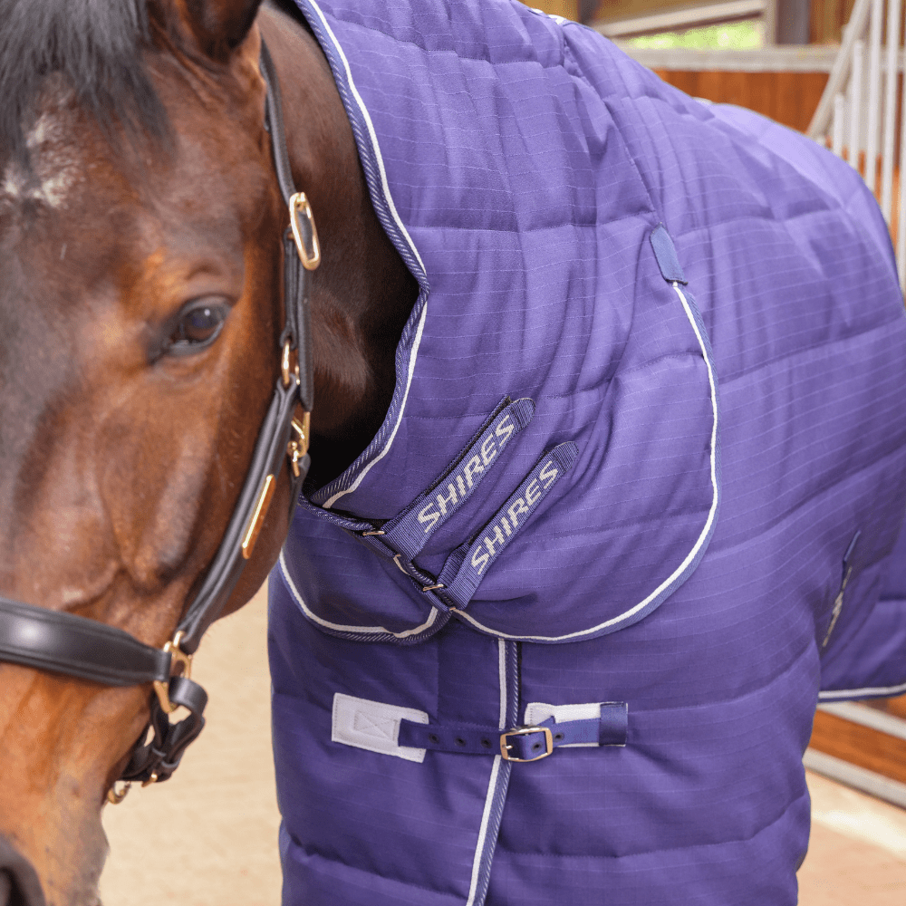 Tempest Original 100 Combo Stable Rug - Navy - Nags Essentials