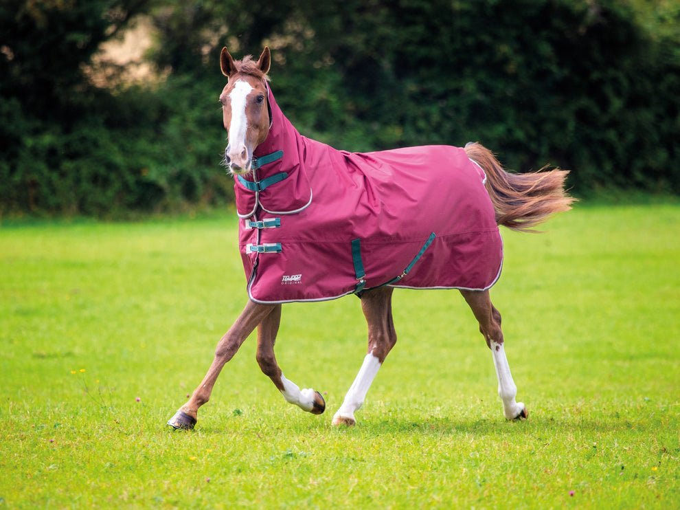 Tempest Original 200 Turnout Combo Rug - Maroon - Nags Essentials