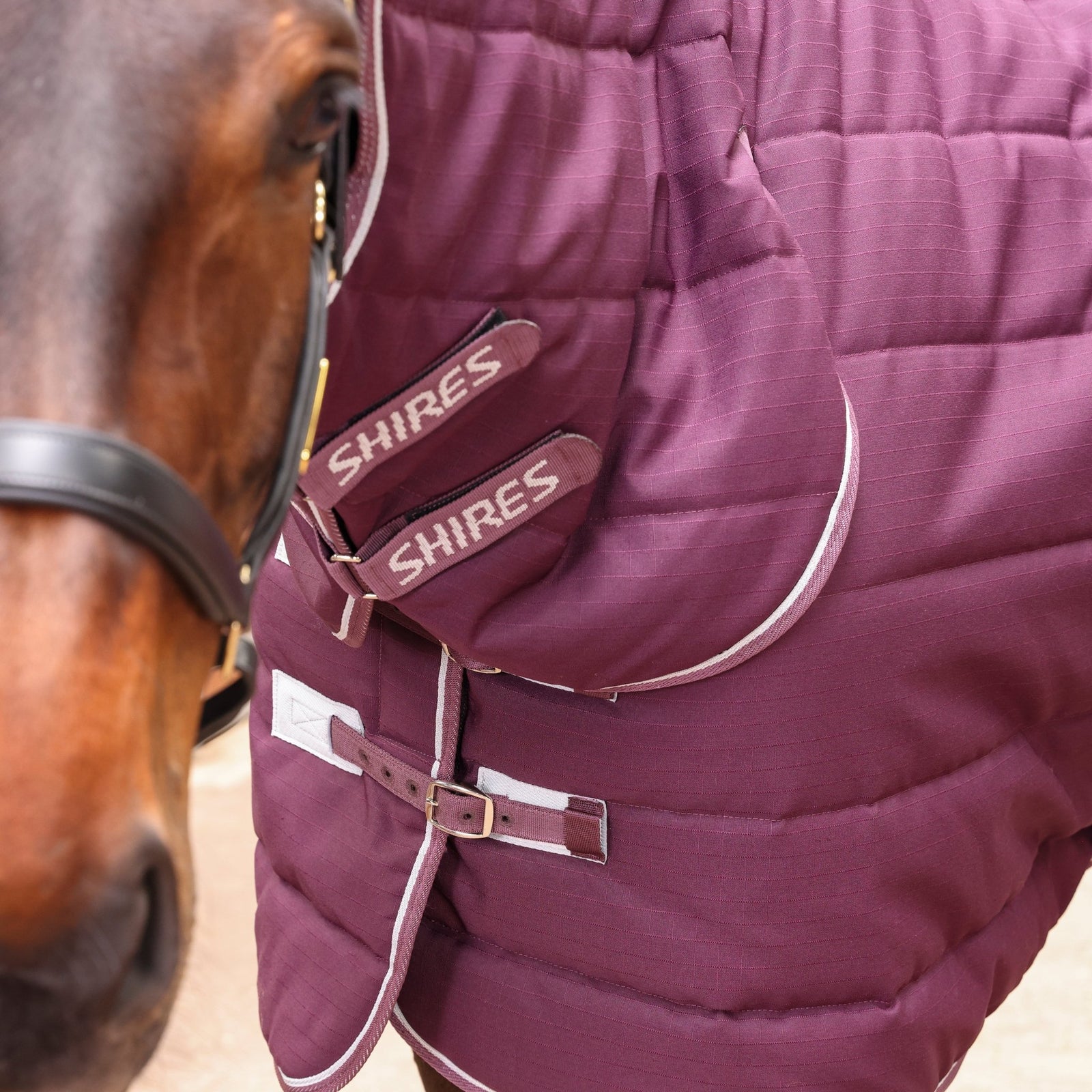 Tempest Original 300 Combo Stable Rug - Nags Essentials