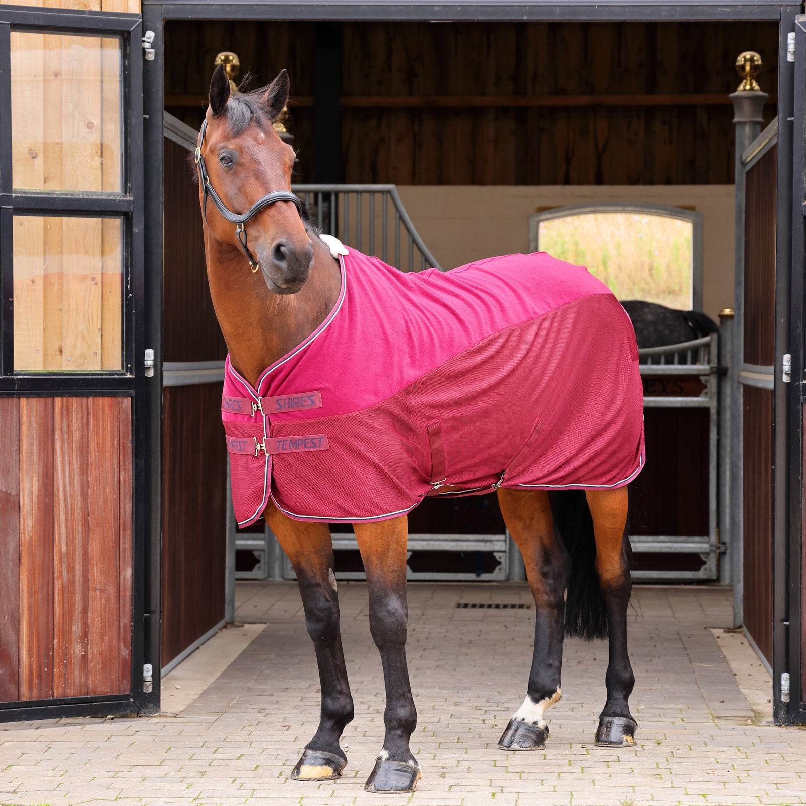 Tempest Original Fleece/Mesh Cooler Rug - Nags Essentials