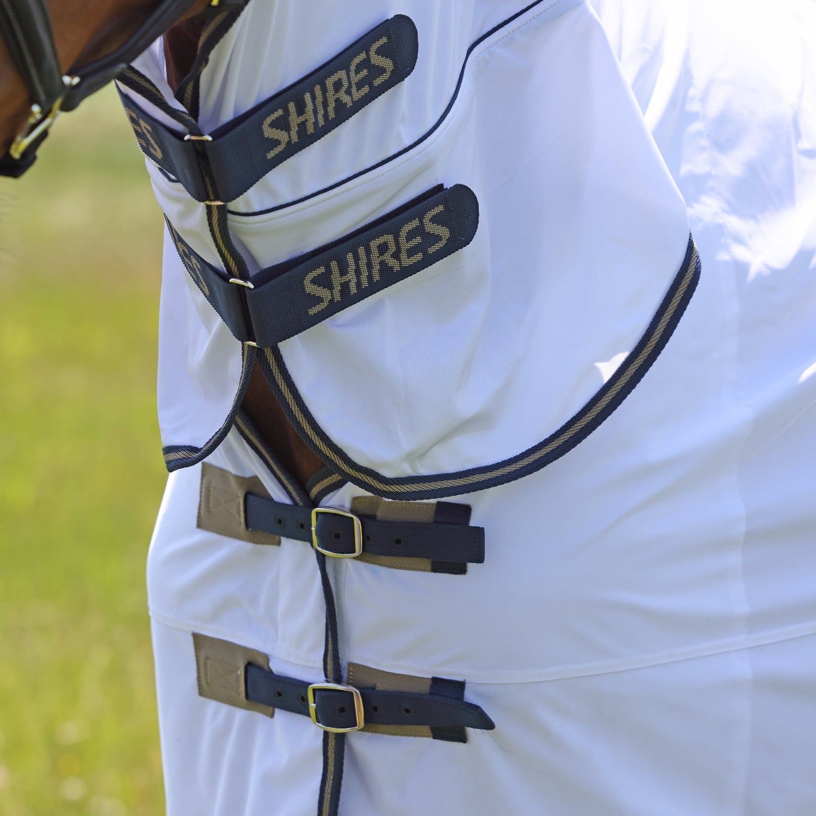 Tempest Original Fly Combo Rug - Nags Essentials