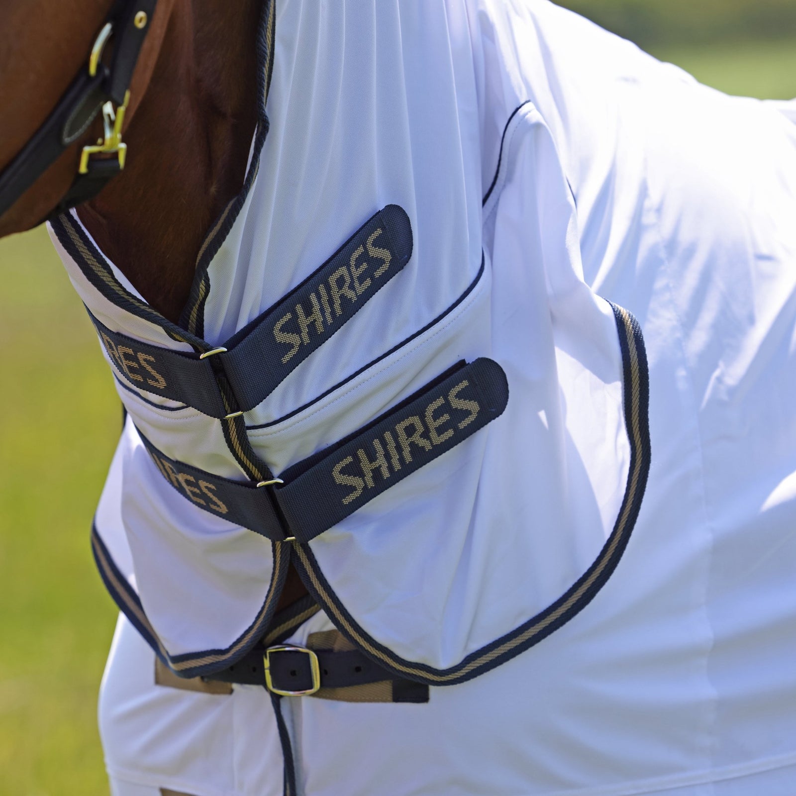 Tempest Original Fly Combo Rug - Nags Essentials
