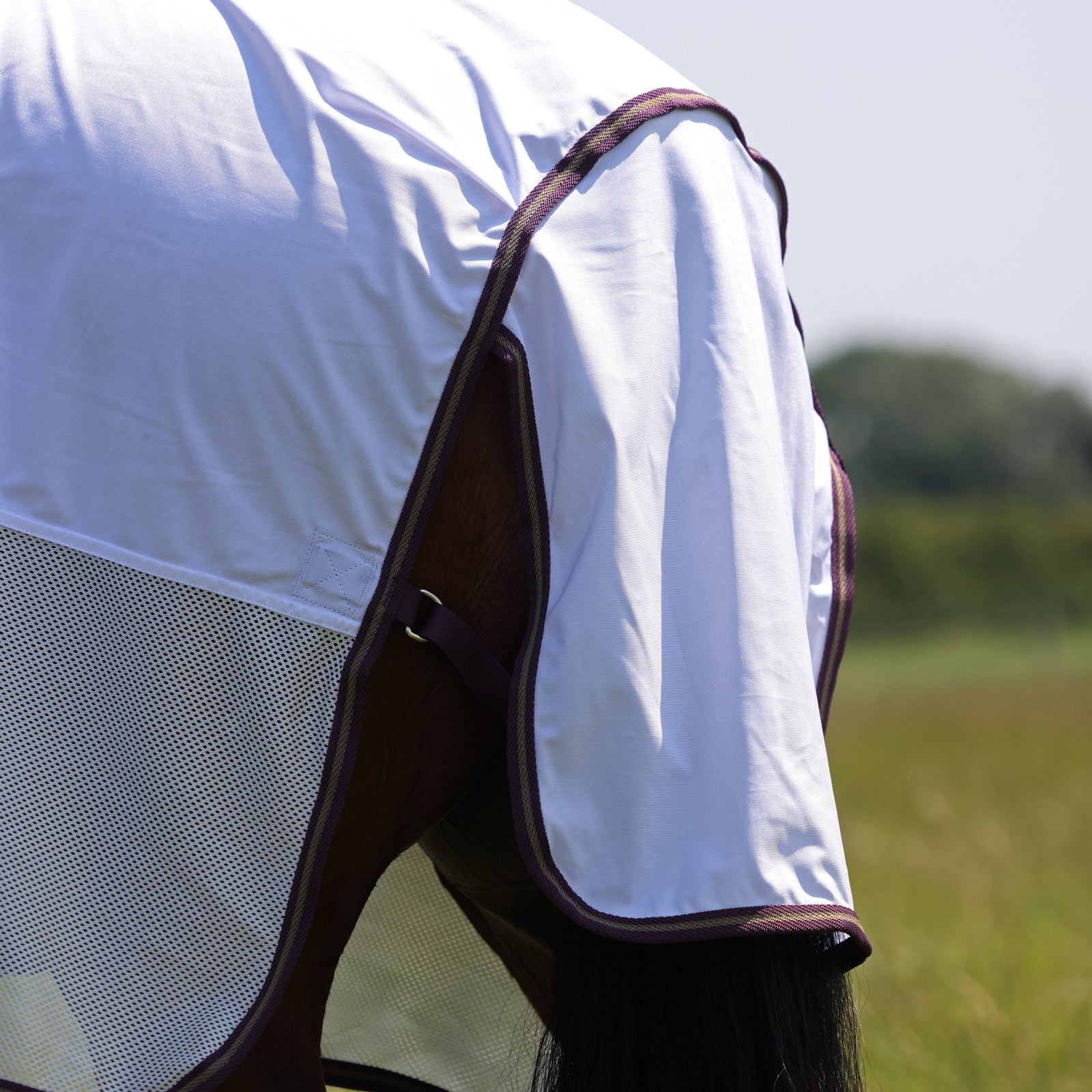Tempest Original Fly Mesh Combo Rug - Nags Essentials
