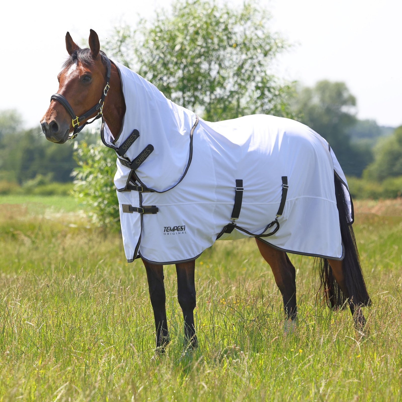 Tempest Original Fly Rug & Neck Set - Nags Essentials