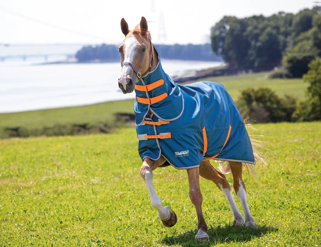 Tempest Original Lite Turnout Rug and Neck Set - Teal - Nags Essentials